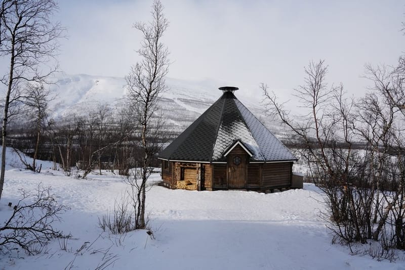 Barrel Sauna vs Cabin Sauna UK 2026: Which to Buy