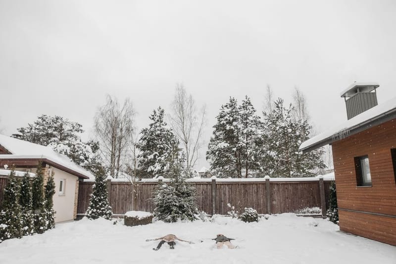 Sauna Noise Levels and Neighbours UK 2026