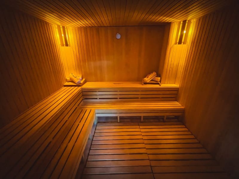 Best 6-Person Home Sauna UK 2026