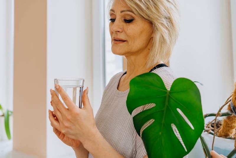 Sauna for Menopause and HRT UK 2026