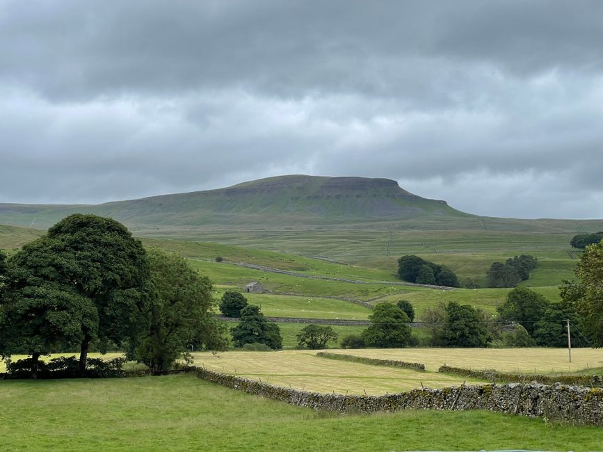 Wild Saunas in Yorkshire (2026): Coast, Dales & Urban Venues